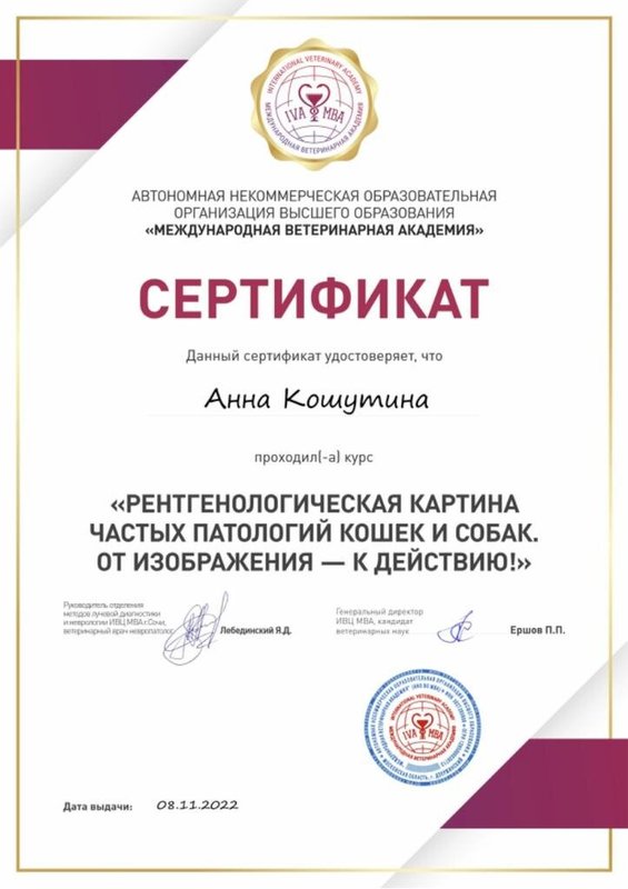 Документ или сертификат