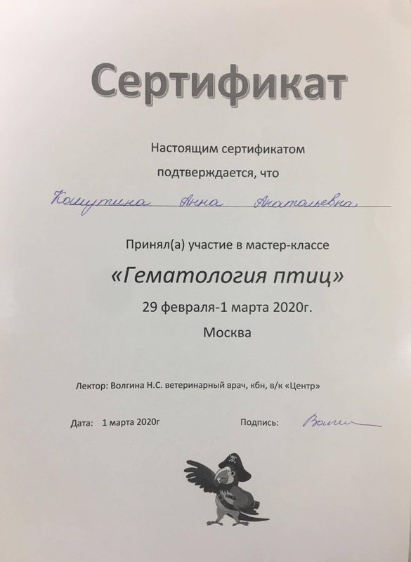 Документ или сертификат