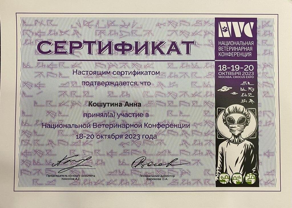 Документ или сертификат