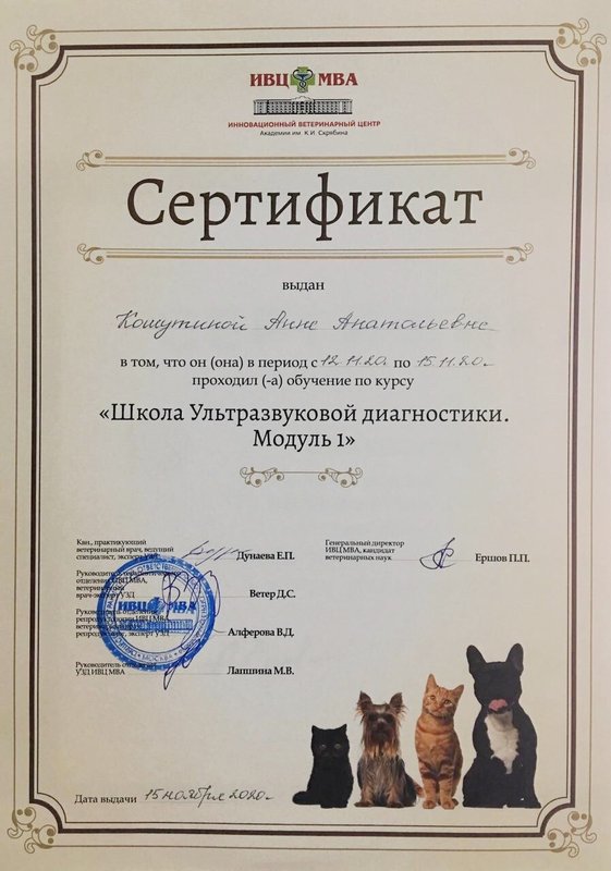 Документ или сертификат