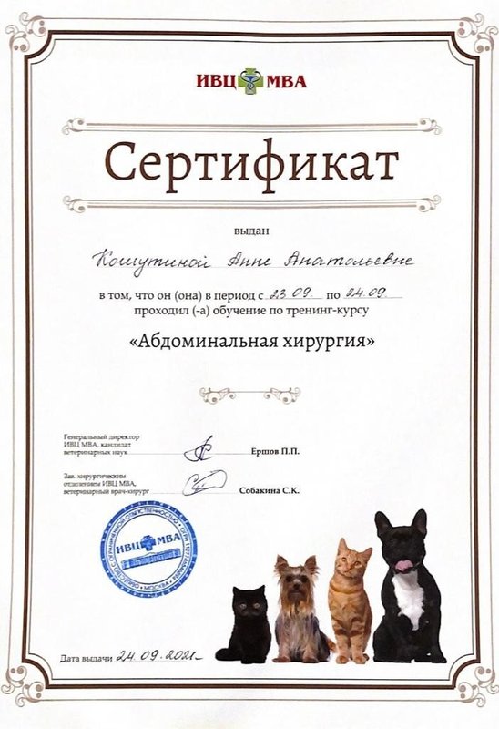 Документ или сертификат