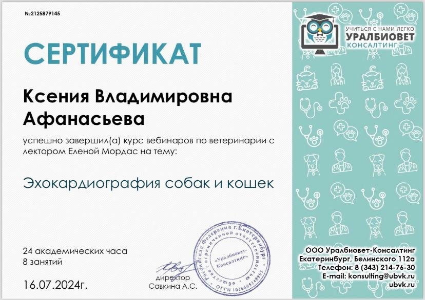 Документ или сертификат