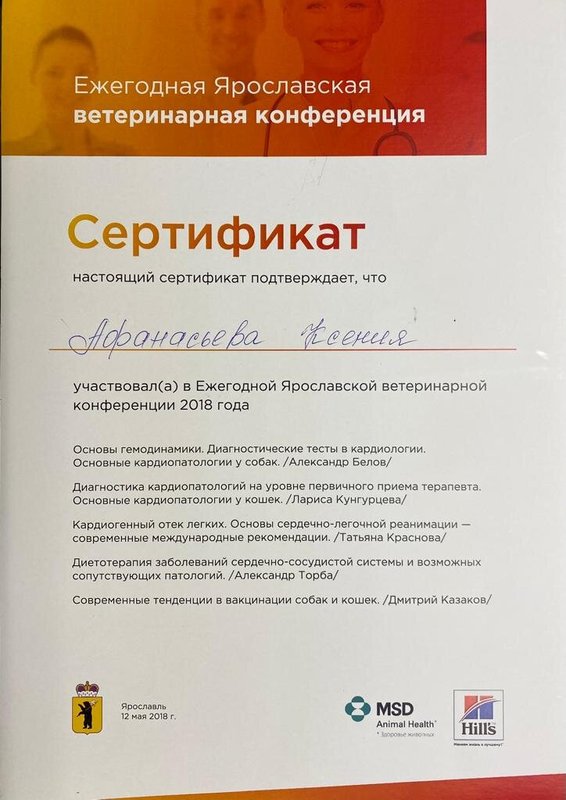 Документ или сертификат