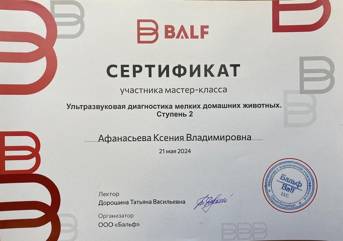 Документ или сертификат
