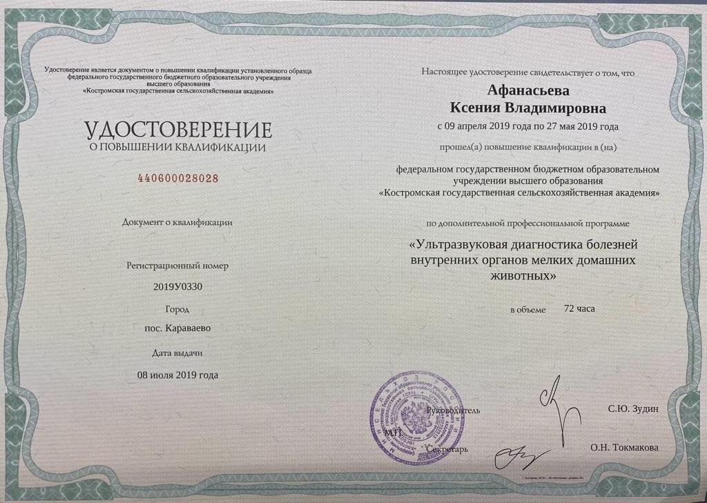 Документ или сертификат