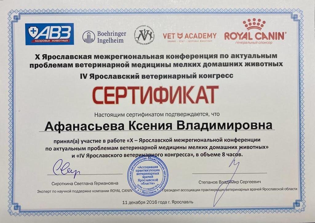 Документ или сертификат