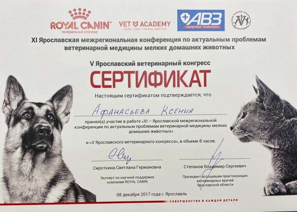 Документ или сертификат