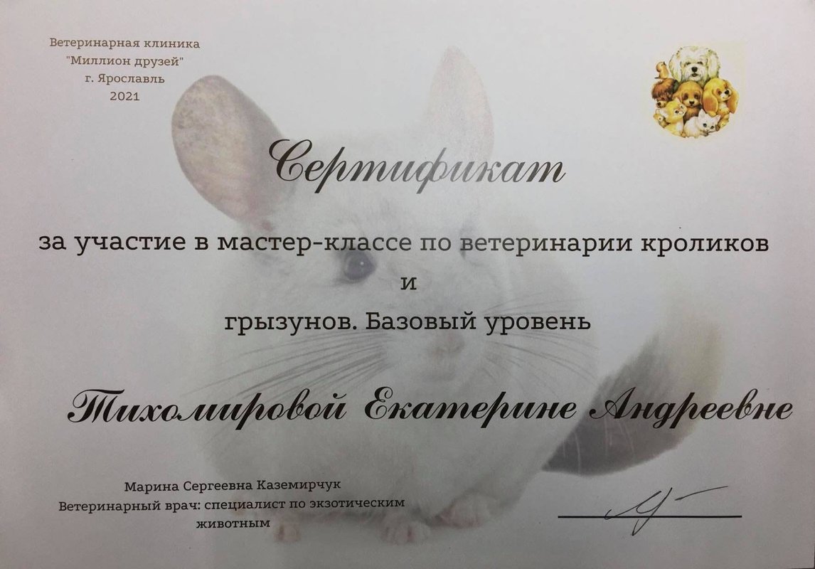 Документ или сертификат