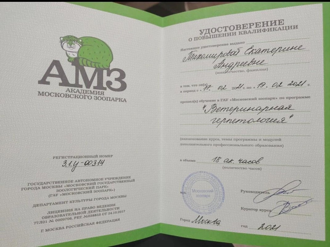 Документ или сертификат