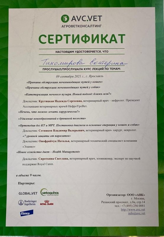 Документ или сертификат