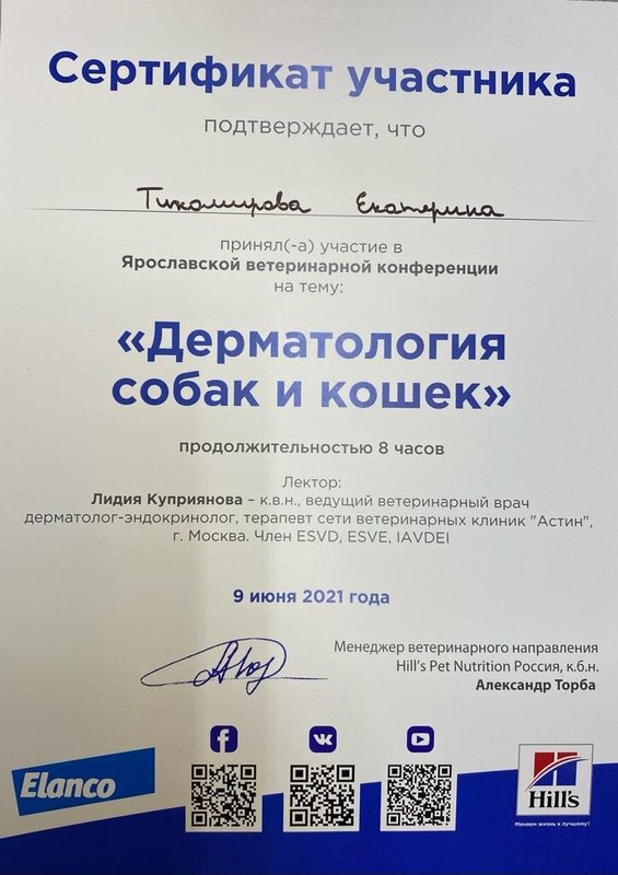 Документ или сертификат