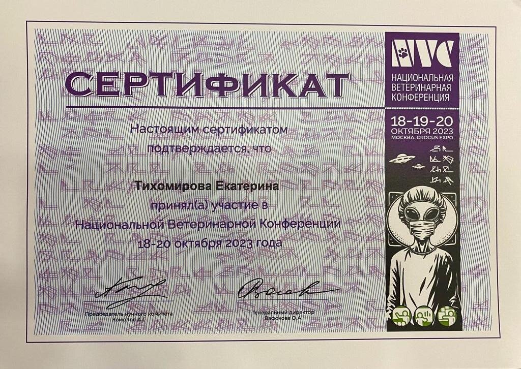 Документ или сертификат
