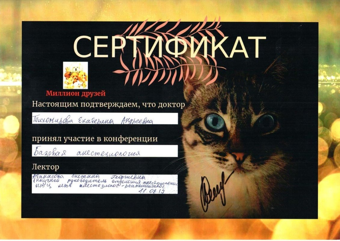 Документ или сертификат