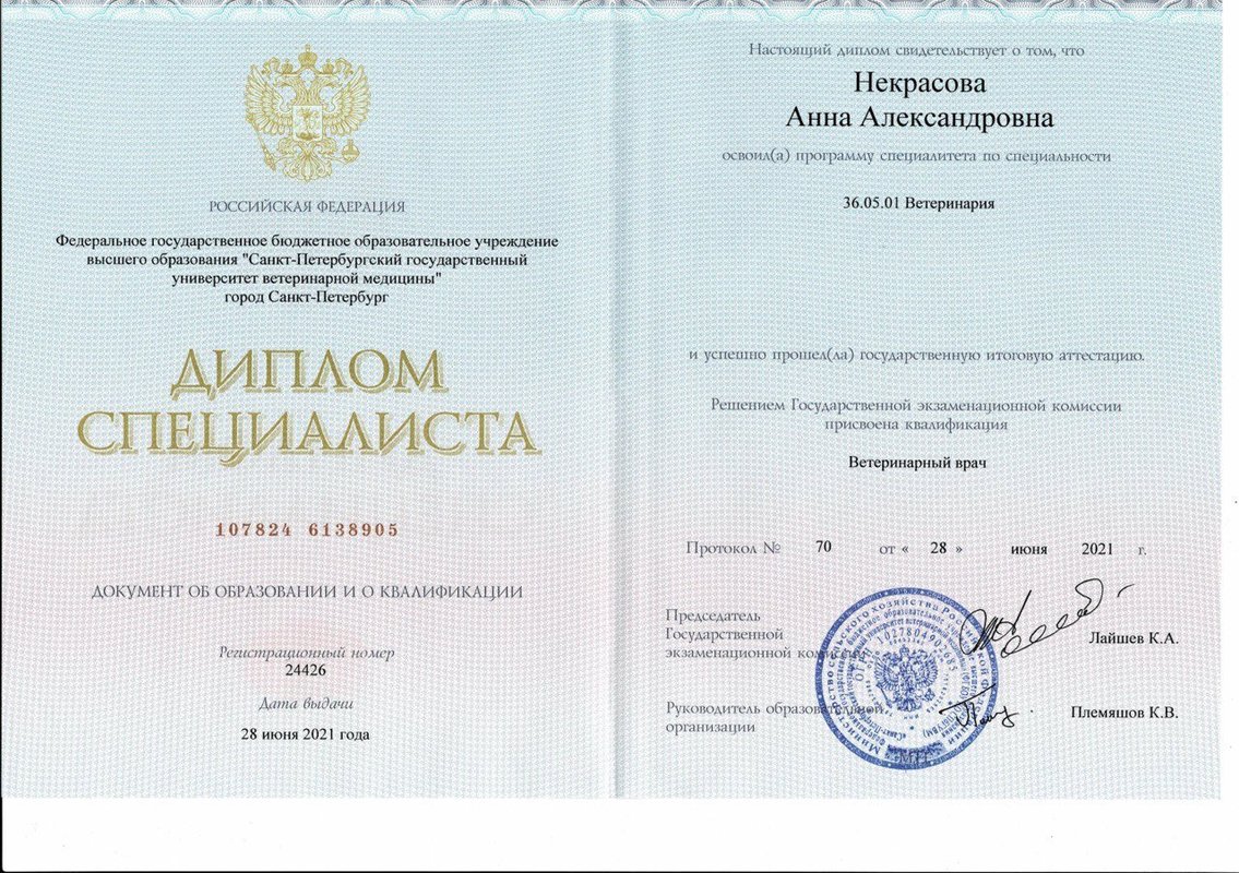 Документ или сертификат