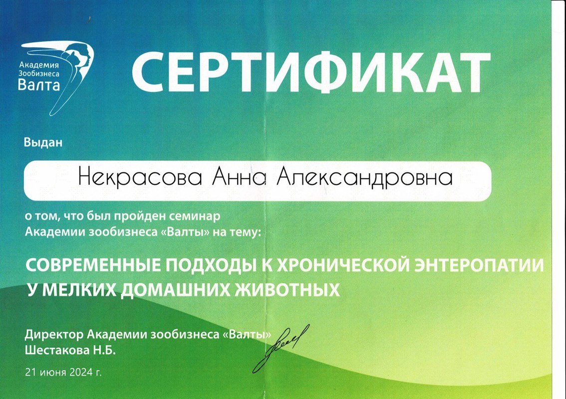 Документ или сертификат