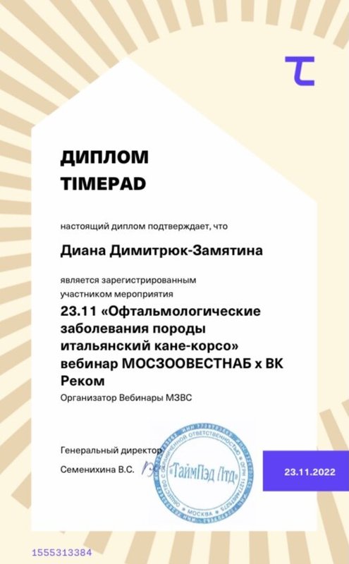Документ или сертификат