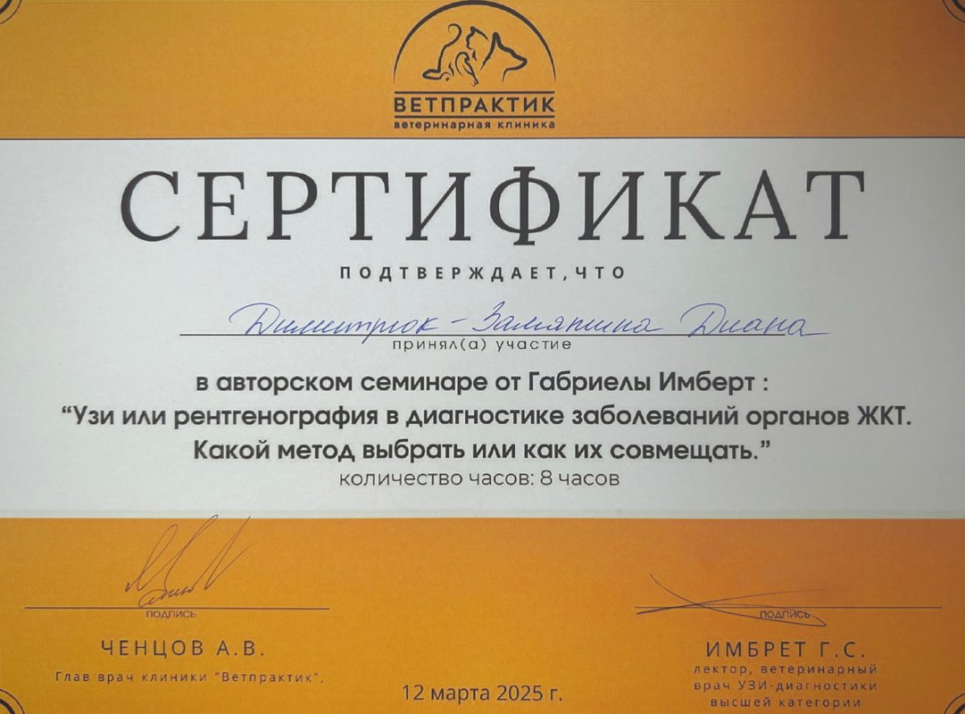 Документ или сертификат