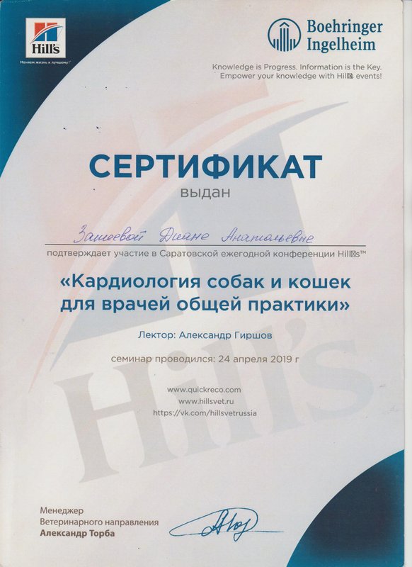 Документ или сертификат