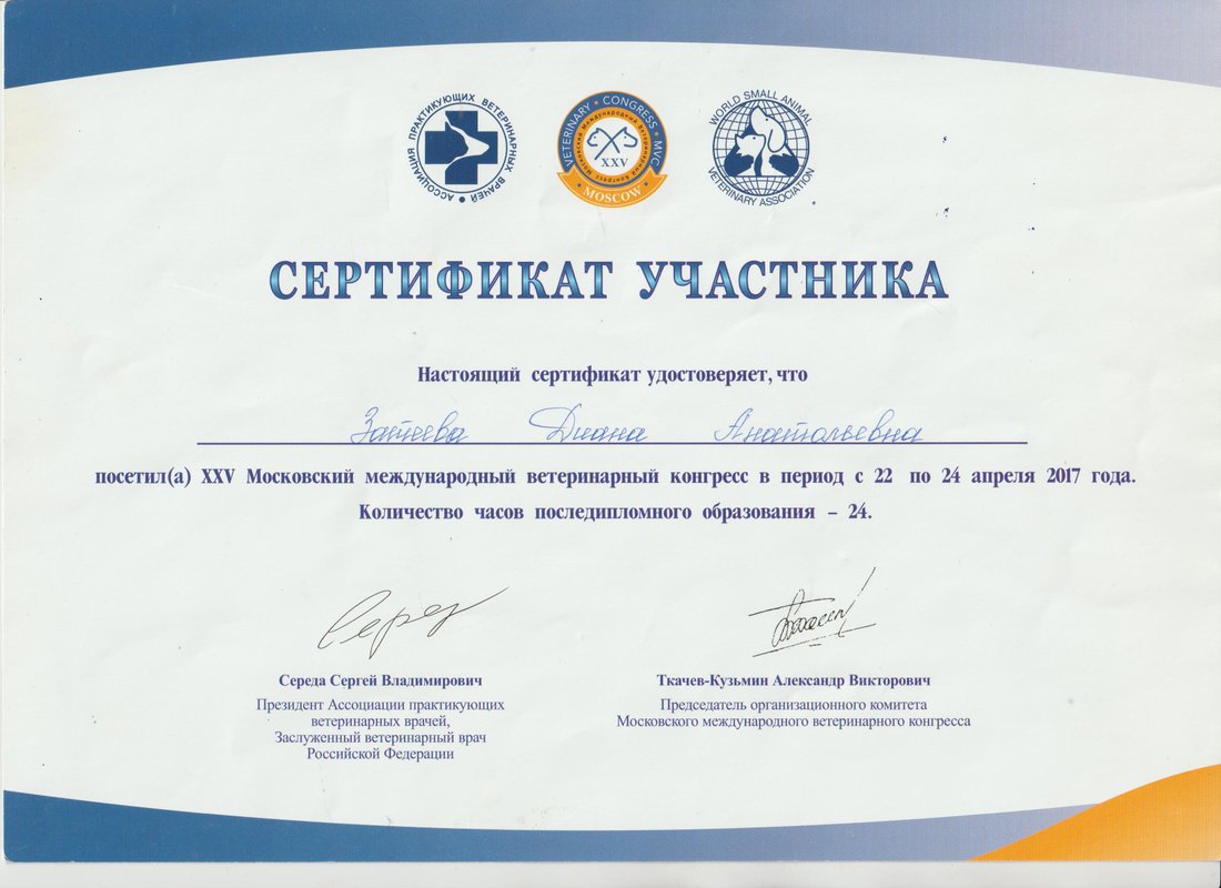 Документ или сертификат