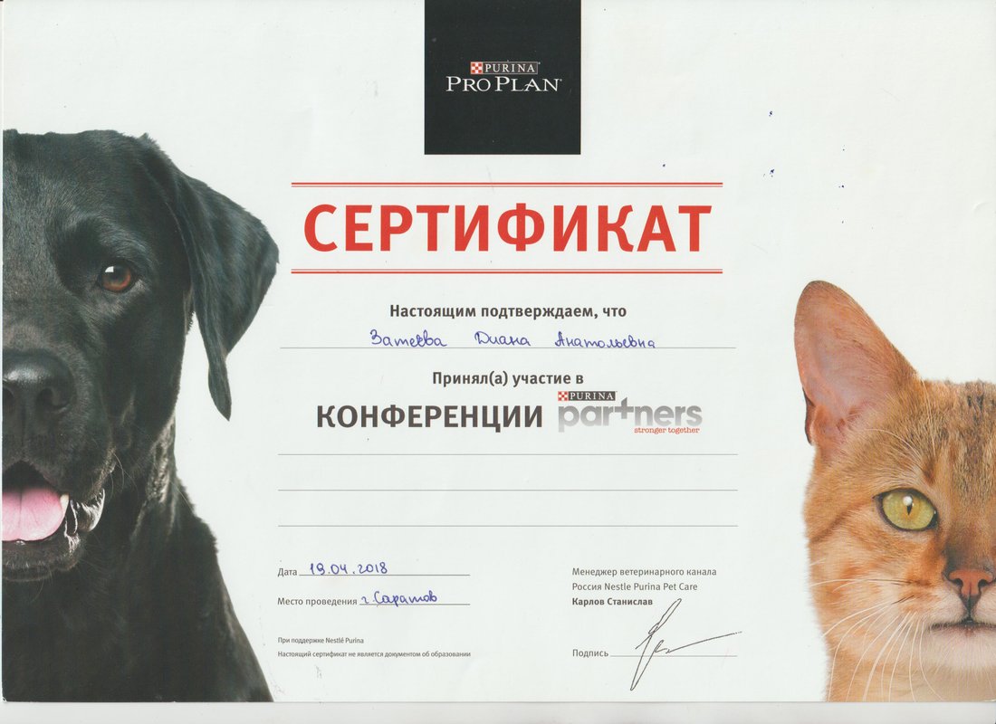 Документ или сертификат