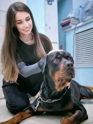 Фото врача Комар Алевтина Валерьевна