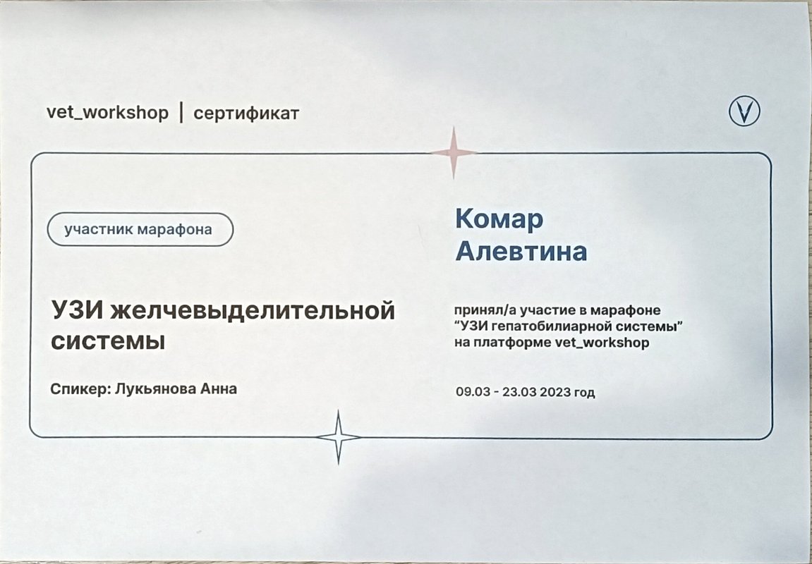 Документ или сертификат