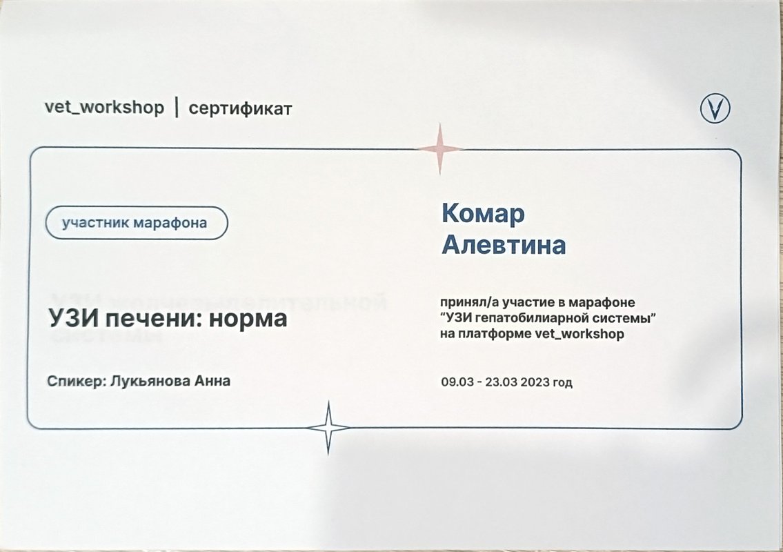 Документ или сертификат