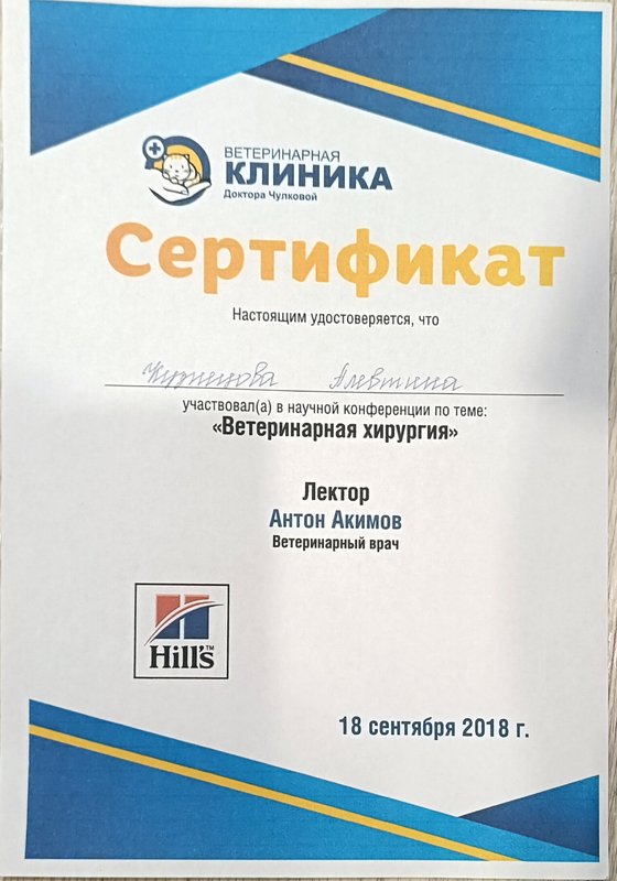 Документ или сертификат