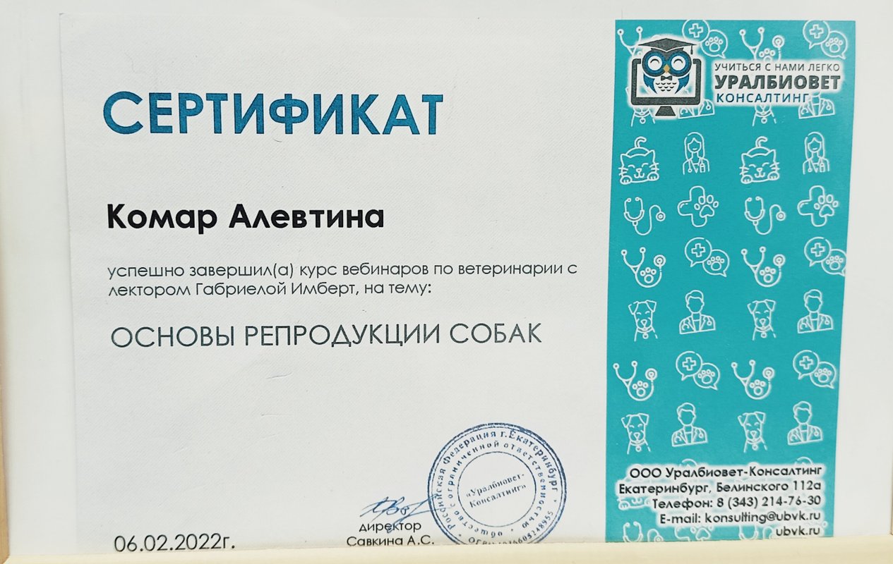 Документ или сертификат