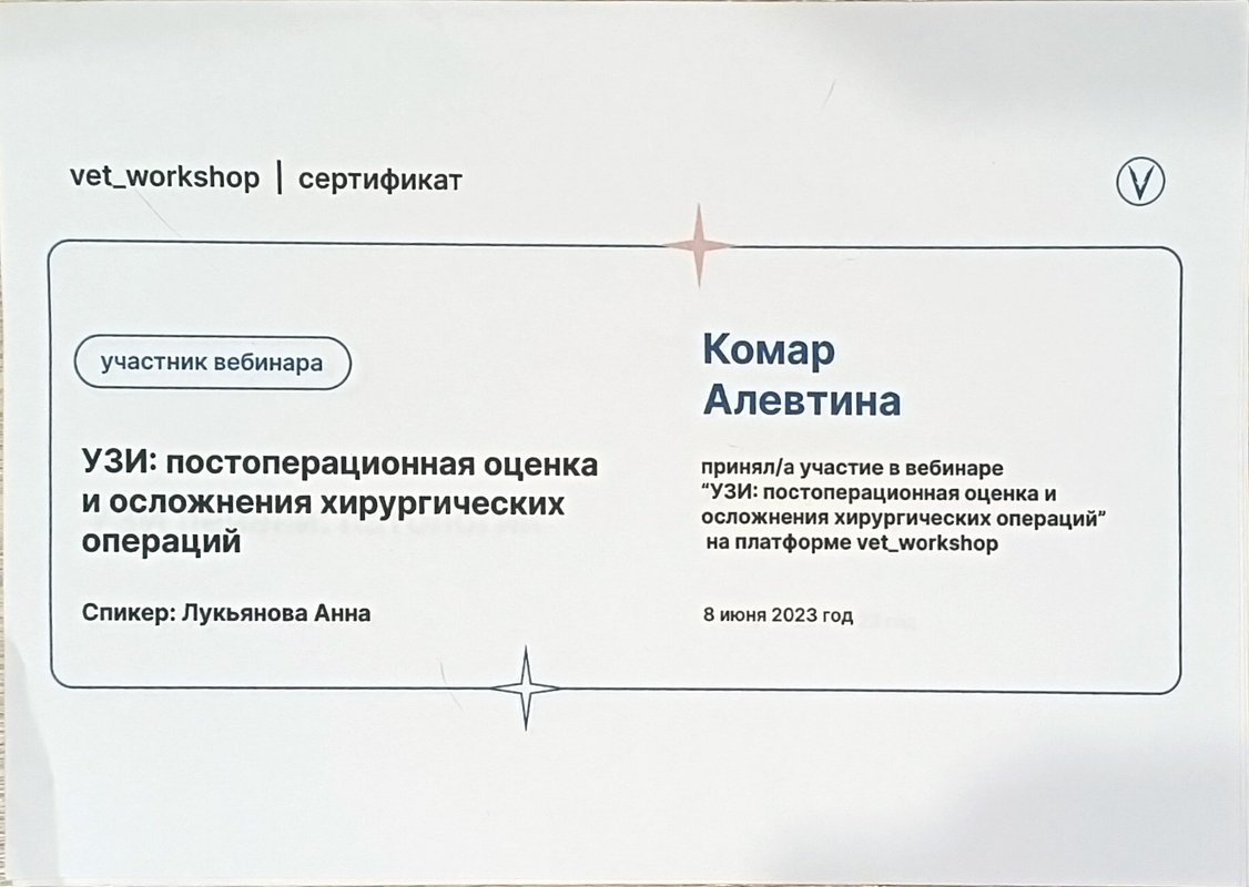 Документ или сертификат