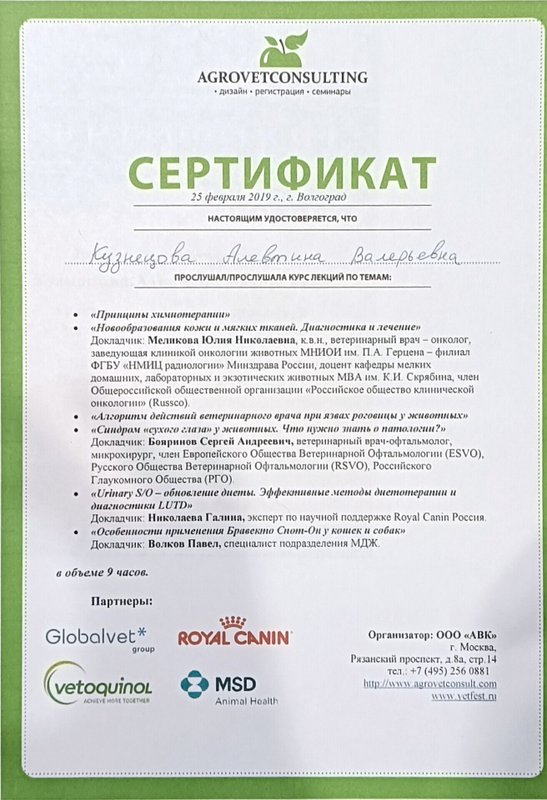 Документ или сертификат