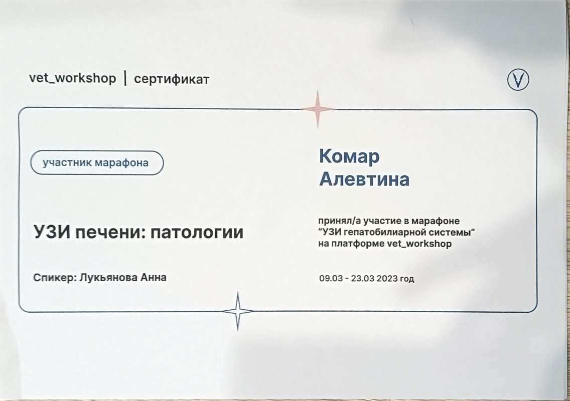 Документ или сертификат