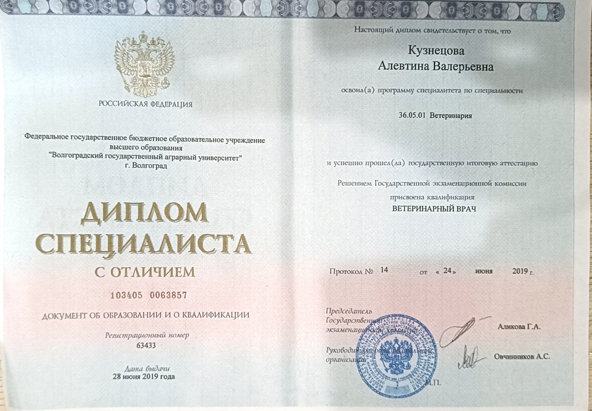 Документ или сертификат