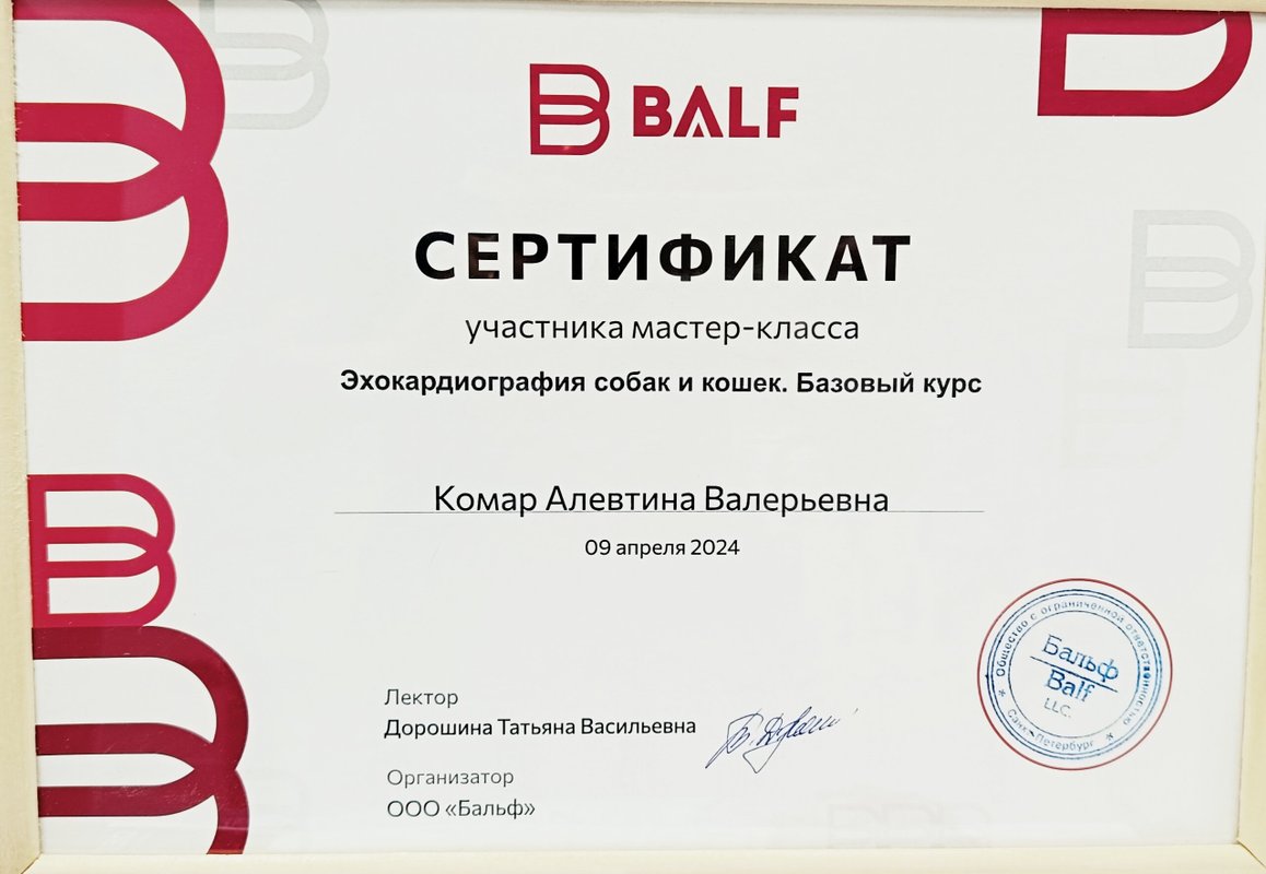 Документ или сертификат