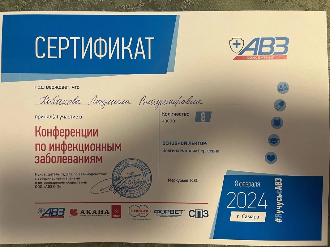Документ или сертификат