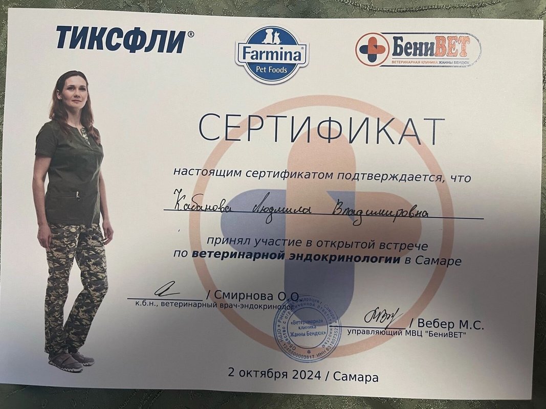Документ или сертификат