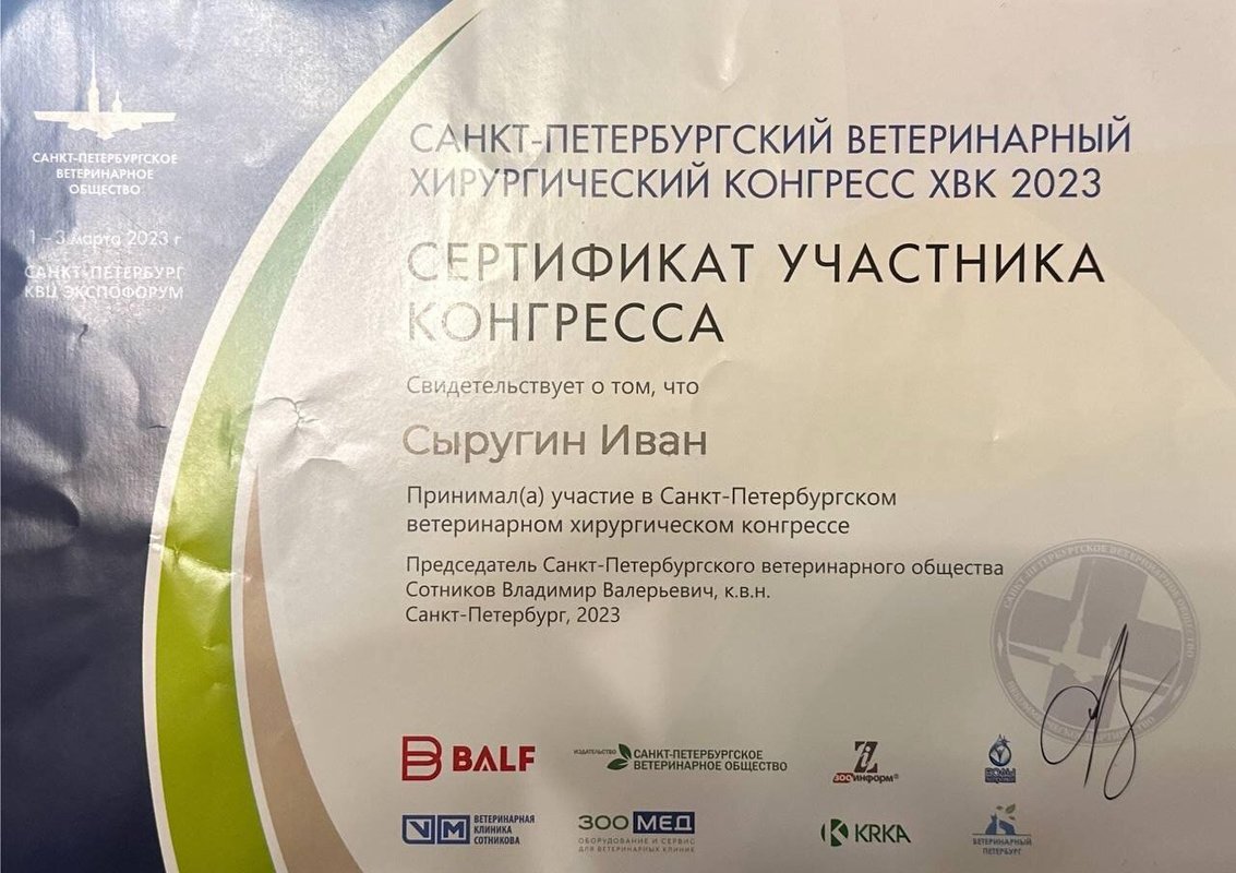 Документ или сертификат