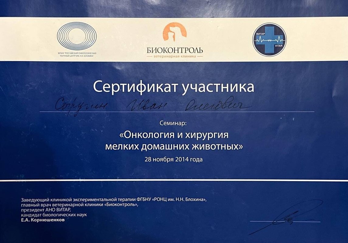 Документ или сертификат