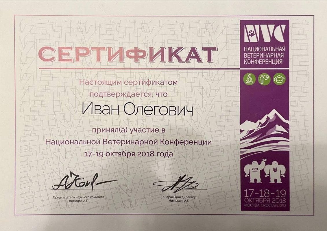 Документ или сертификат