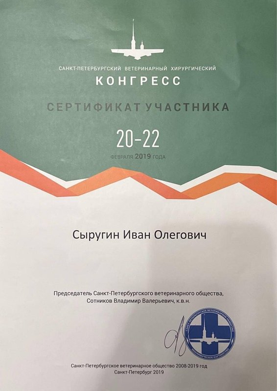 Документ или сертификат