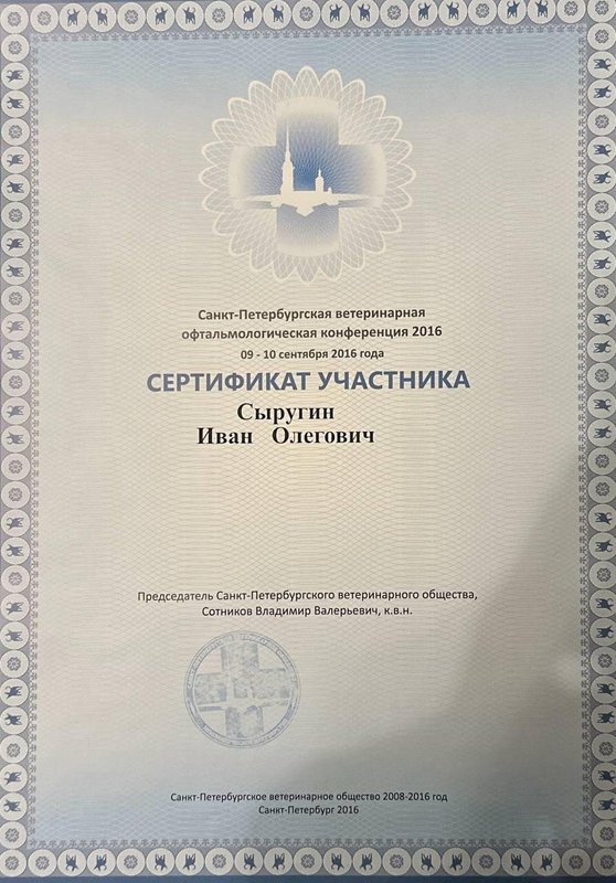 Документ или сертификат