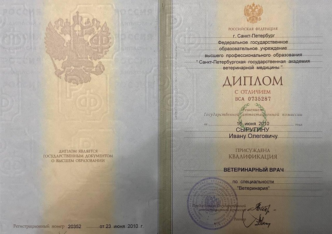 Документ или сертификат