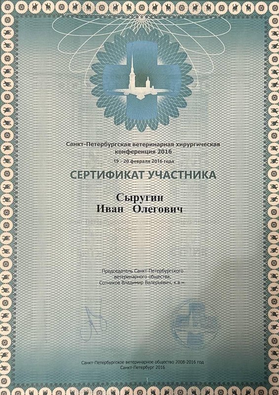 Документ или сертификат