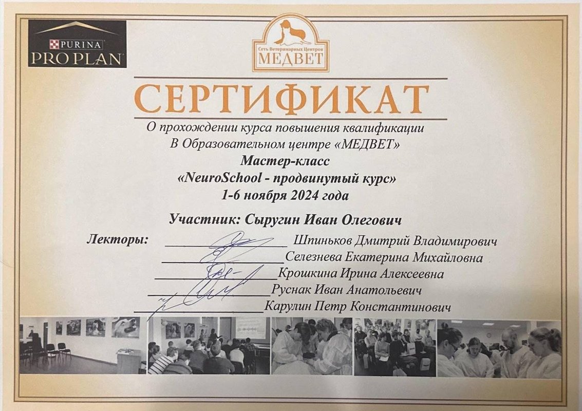 Документ или сертификат
