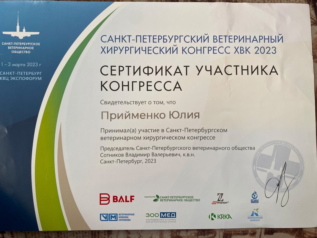 Документ или сертификат