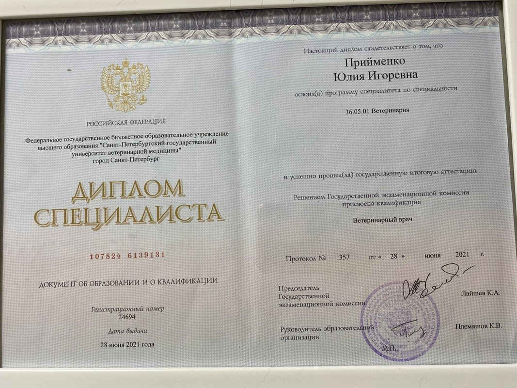 Документ или сертификат