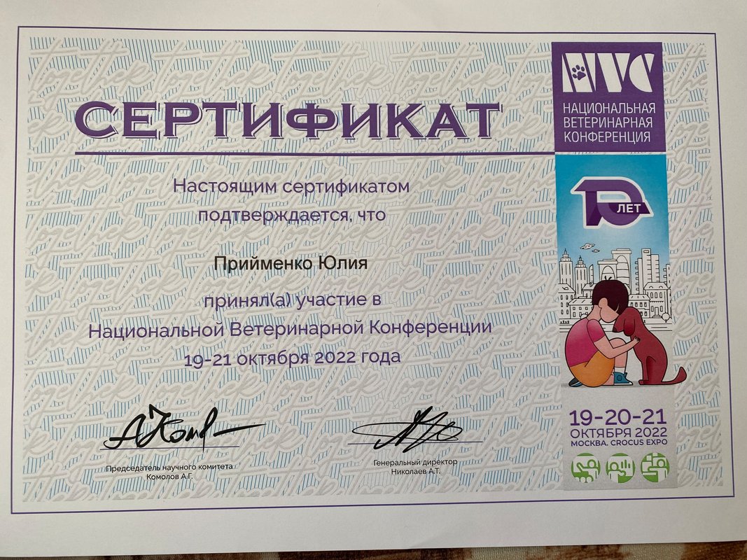 Документ или сертификат
