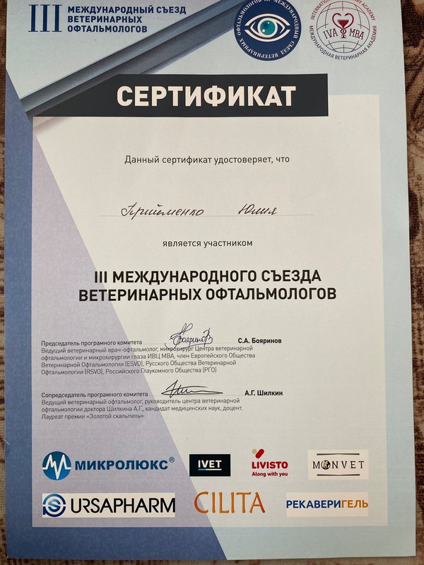 Документ или сертификат