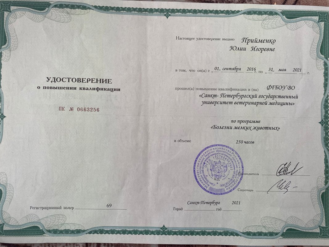 Документ или сертификат