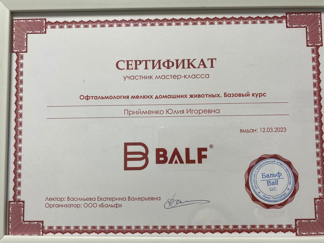 Документ или сертификат